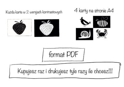 Oryginalne KARTY KONTRASTOWE - obrazek 3